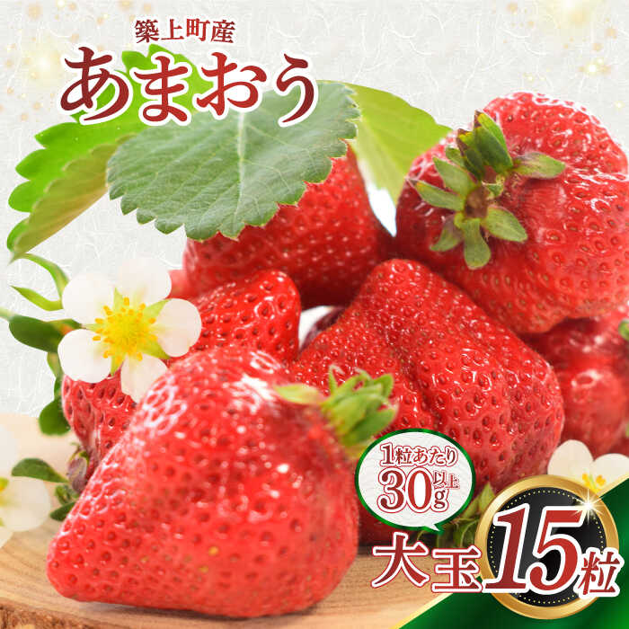 【ふるさと納税】築上町産 あまおう 1箱 15粒【1月中旬以降発送】《築上町》【エースいちご株式会社】 大粒 あまおう 苺 いちご ギフト 贈答 [ABAG004] 17,000円