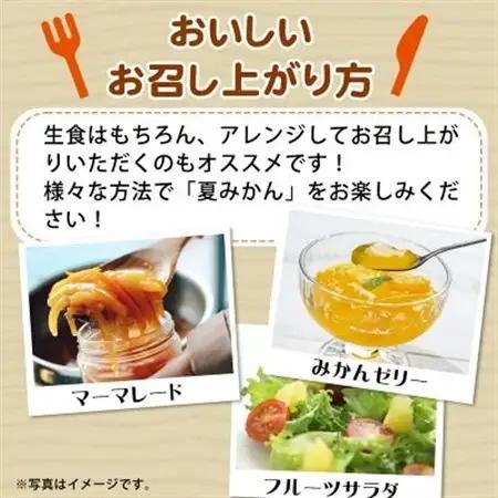 【2027年4月中旬より発送】夏みかん7.2kg【日高町】【1216956】