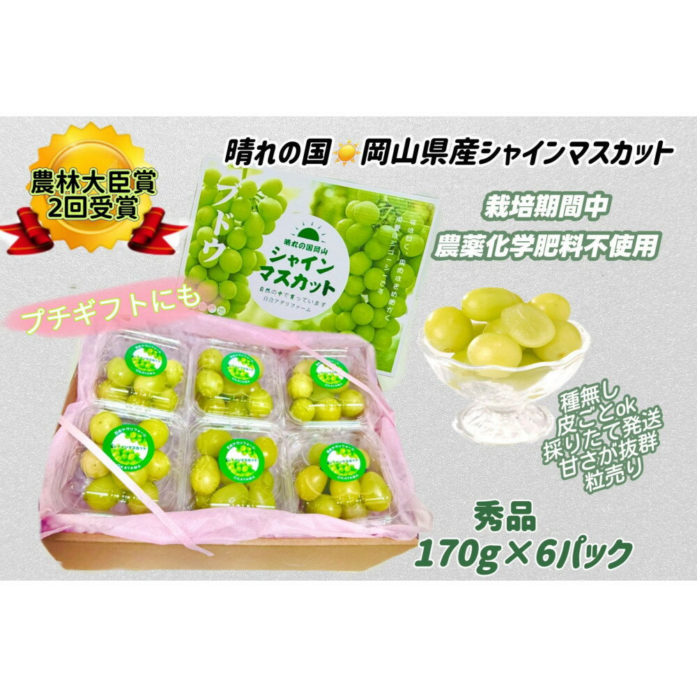 【ふるさと納税】ぶどう2026年 シャインマスカット 小分け 秀品 粒だけ 約170g 6パック 岡山 果物 フルーツ 2026年7月から発送