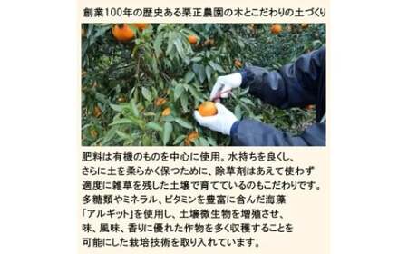 タカじいの 有田 みかん 5kg （良品 サイズ混合 or 大玉） / 温州みかん 有田みかん 甘い 家庭用 和歌山 柑橘 ※12月順次発送【krs004-c-5-12A】