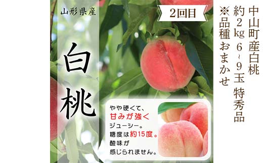 2026年6月発送開始 先行受付 山形県 至高のフルーツ！ 山形県中山町 甘～いフルーツ定期便 全4回 さくらんぼ 桃 シャインマスカット ラ・フランス 山形県 中山町 F4A-0476