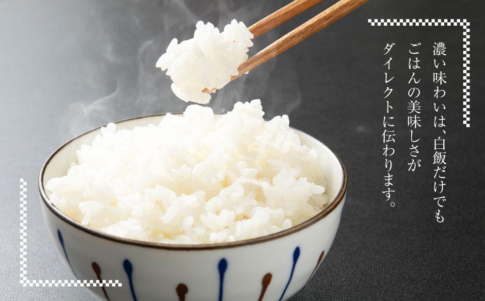 ゆめぴりか 10kg 米 お米 白米