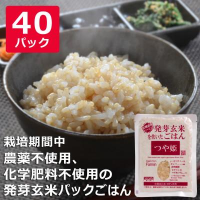 ふるさと納税 登米市 つや姫発芽玄米を炊いたごはん(栽培期間中農薬・化学肥料不使用栽培米使用)150g×40P