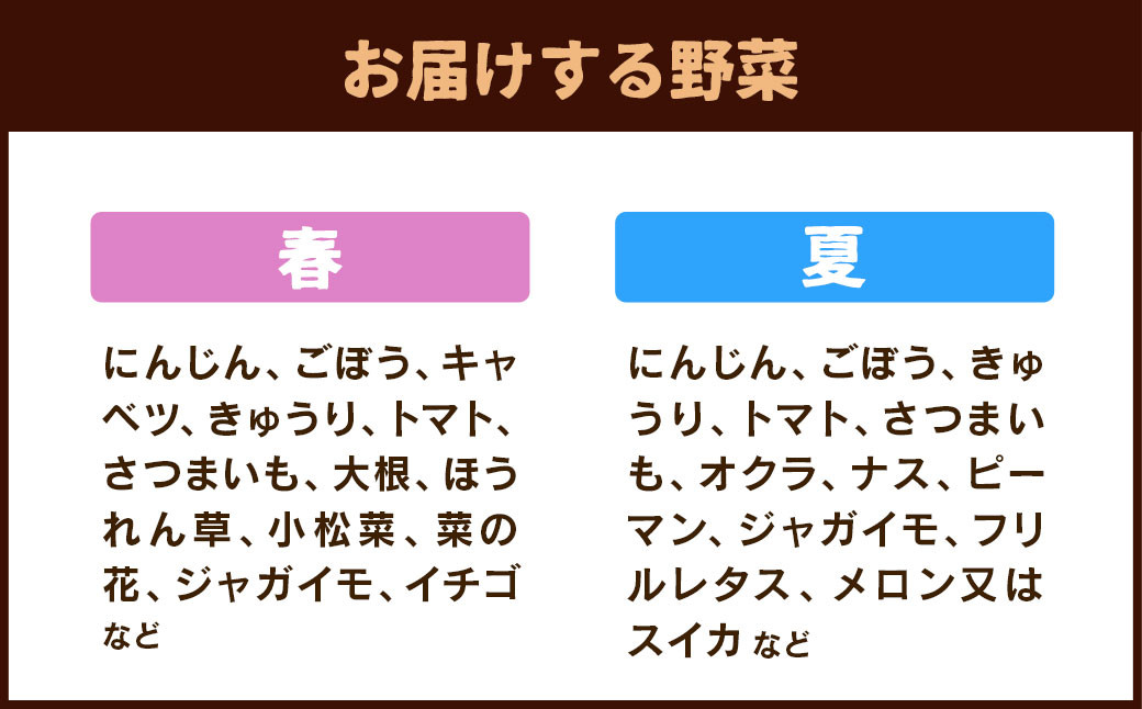 【3ヶ月定期便】菊陽町特産品 「野菜・果物などの詰め合わせ」 