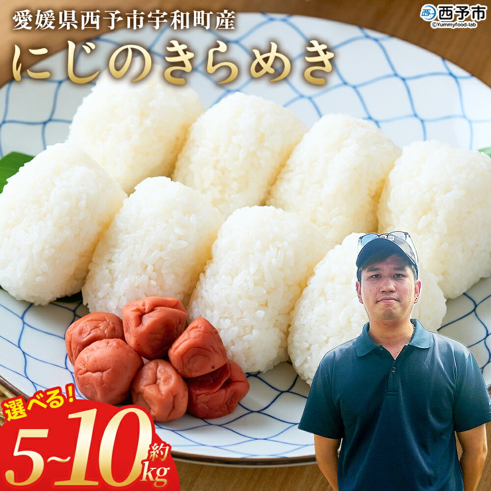 【ふるさと納税】新米＜令和7年産 にじのきらめき 約5kg/10kg＞ 選べる 5キロ 10キロ ニジノキラメキ 米 お米 コメ こめ 白米 精米 ご飯 ライス 大粒 穀物 西予応援米 特産品 宇和町産 前田農園 愛媛県 西予市【常温】『2025年10月から12月迄に順次出荷予定』