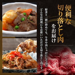 神戸牛 訳あり 切り落とし 800g 神戸ビーフ 神戸牛