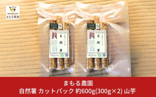 自然薯 カットパック 約600g(300g×2パック) 山芋 とろろご飯に じねんじょ [まもる農園] 10000円以下 1万円以下 【010S660】