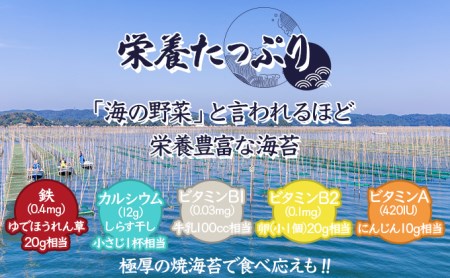 佐賀海苔 極厚初摘み焼海苔10袋 （定期便年3回）G-208 