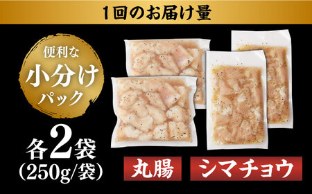 【全12回定期便】【塩だれ】九州産和牛 ホルモン 2種 計1kg（ シマチョウ 250g×2袋・ 丸腸 250g×2袋） 長与町/岩永ホルモン [EAX153]国産 牛肉 ミックス 小分け 味付き 冷