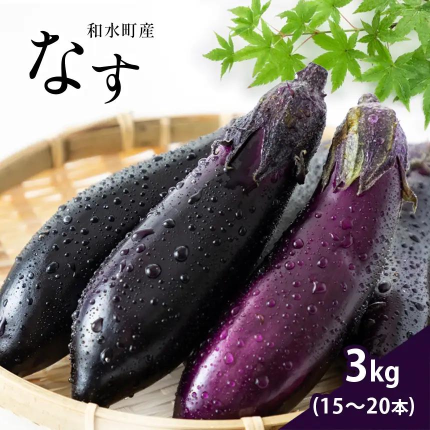なす 3kg 和水町産 野菜 5月下旬～発送いたします 野菜
