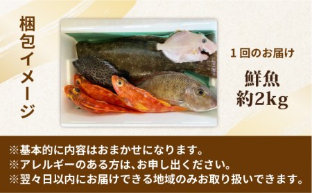 【全4回定期便】旬の地魚セット（エラ・内臓処理済）鮮魚 魚介 刺身 五島市 / 五島FF [PBJ002]