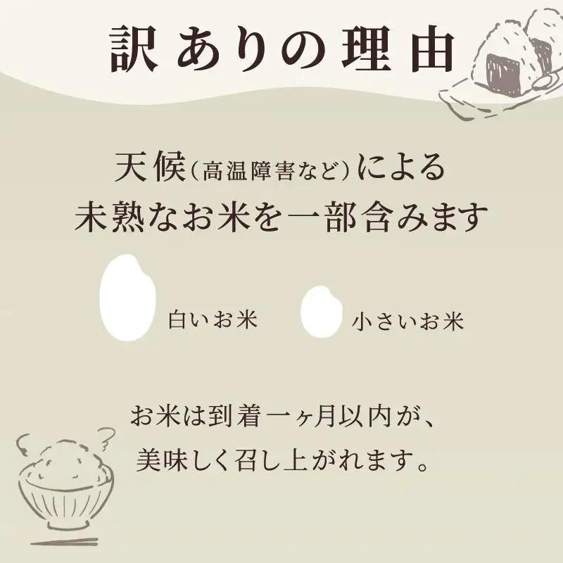 ≪ 定期便 3ヶ月 計 30kg ≫ 訳あり無洗米 10kg ( 5kg × 2袋 ) 令和7年産 がばいU米(うまい)  佐賀県産 米 お米 こめ コメ 白米 五つ星 お米マイスター厳選 鳥栖市ふる