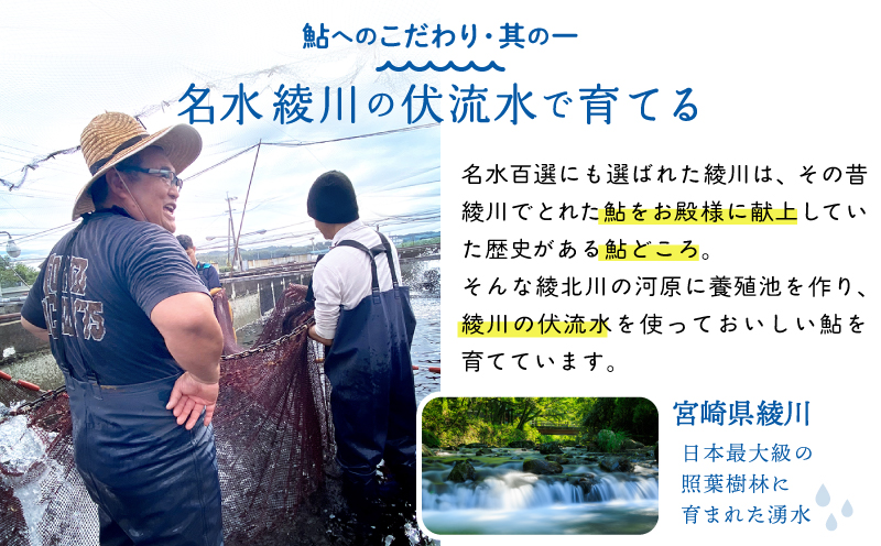 鮎の塩焼き5匹（冷凍）