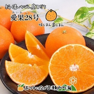 【先行予約】【12月中旬より順次発送予定】愛果28号 家庭用 約3kg  | 愛媛 中島産  愛媛県産 みかん 柑橘 希望の島