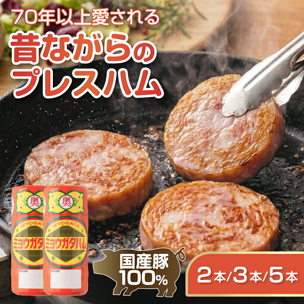 【ふるさと納税】明方ハムセット 選べる 2本〜5本 ハム 国産ハム ソーセージ フランク ウインナー 食べ比べ 高級ハム ギフト 贈答 プレゼント お中元 お歳暮 セット 詰め合わせ 冷蔵 岐阜県 手土産 お弁当 お中元 BBQ おかず おやつ 人気 人気 岐阜県 郡上市