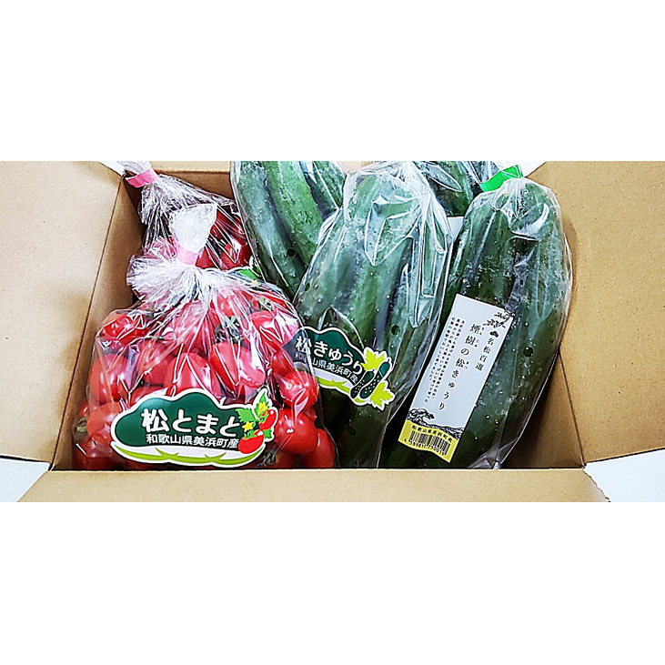 【煙樹の松野菜ブランド】
松とまと（アイコ）松きゅうりセット 2025年11月中旬～2026年6月上旬頃に順次発送予定_イメージ4