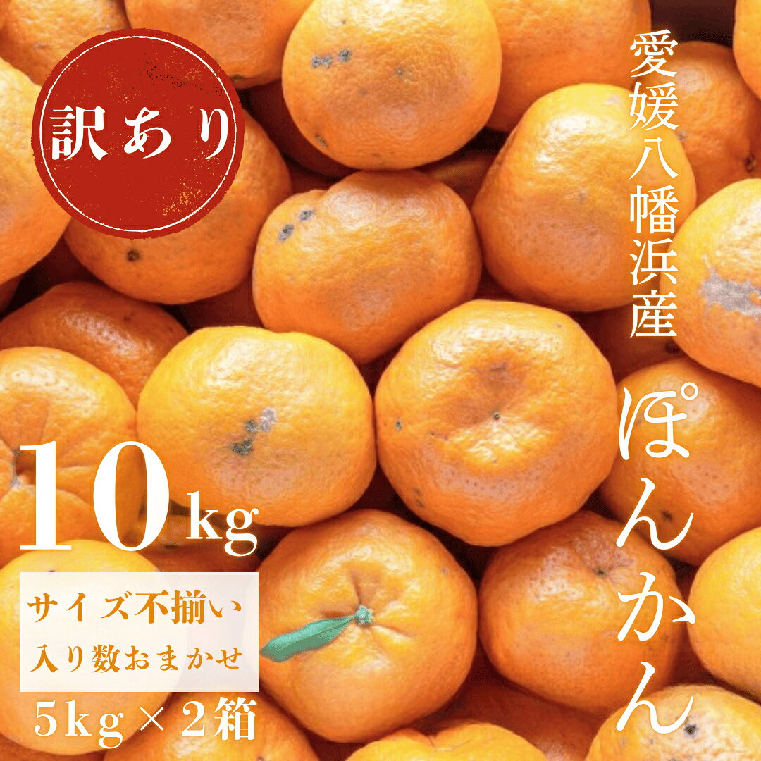 【ふるさと納税】【南国を感じさせる独特の香り】訳あり 愛媛ポンカン 10kg【C20-13】_ みかん ミカン 柑橘 くだもの 果物 フルーツ ぽんかん ポンカン 甘い ワケアリ 訳あり わけあり 規格外 傷 不揃い 常温 デザート 産地直送 産直 愛媛 人気 【1094582】 YWTI011