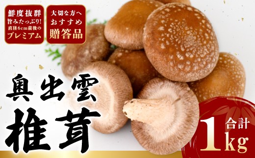 
                  「奥出雲椎茸」プレミアム贈答品【国産 きのこ 野菜】
                