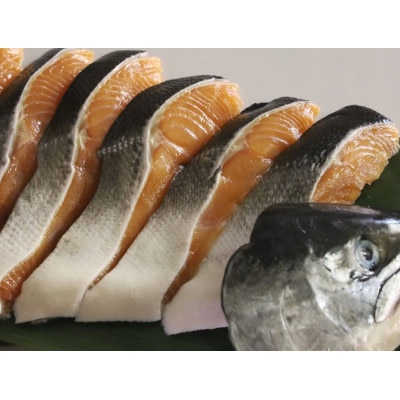 先行受付 活〆 時知らず 鮭切り身 中塩仕込 天然 半身 1100g 小分け  知床斜里産【配送不可地域：離島・沖縄県】