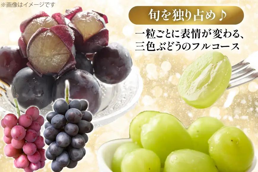 【期間限定発送】 ぶどう 詰め合わせ 3～4房 約1.8kg