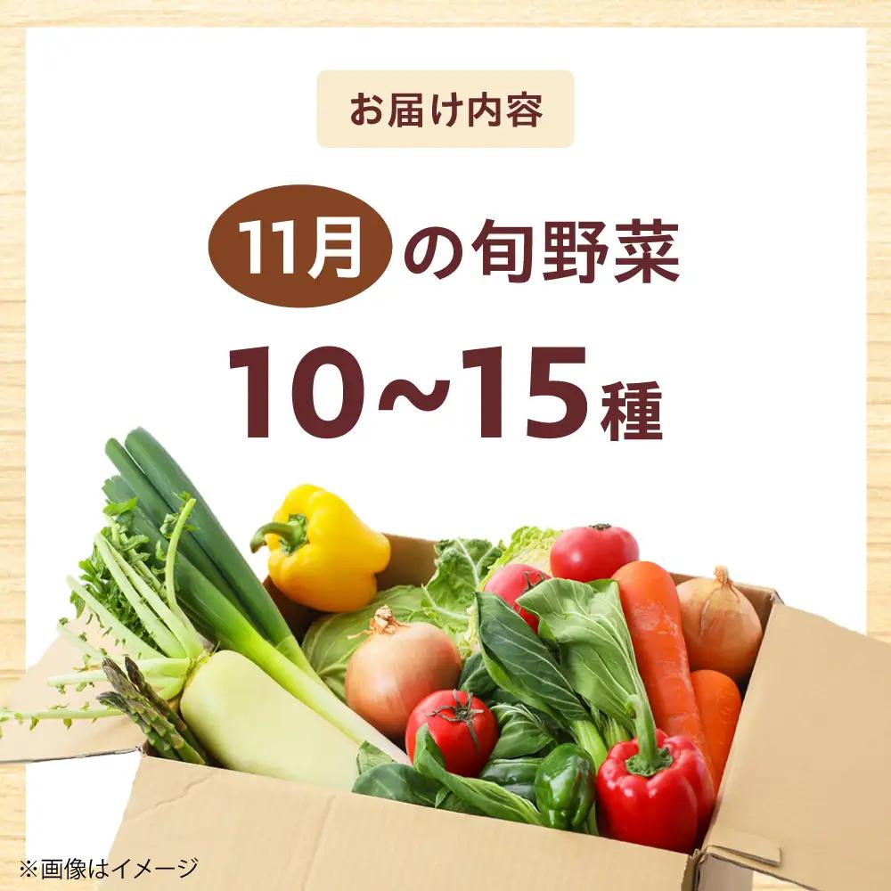 高槻野菜おまかせ詰め合わせセット 11月（10種〜15種）[AOCS017] 野菜セット