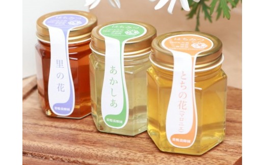 
日本一に輝いた巣鴨養蜂園『完全おまかせ』はちみつ３本セット
