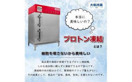 とりもつ　有名店　6店舗　味比べセット　食べ比べ（6食入り）　計1,200ｇ　セット　ギフト　人気　お土産　グルメ　冷凍【07208-0534】