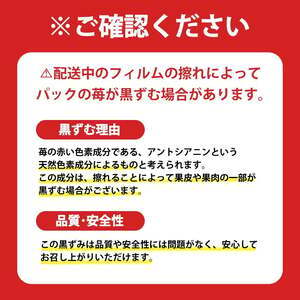 【先行予約】古都華 大粒 1パック×2セット【2027年1月～順次発送】