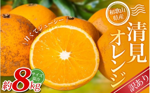 
                  【訳あり】 森本農園の手選別 清見オレンジ 約8kg 和歌山県産 サイズ混合 ※2026年2月上旬～頃順次発送 / 清見 きよみ オレンジ 柑橘 期間限定 由良町 果物 フルーツ 和歌山県【mrmt049】
                