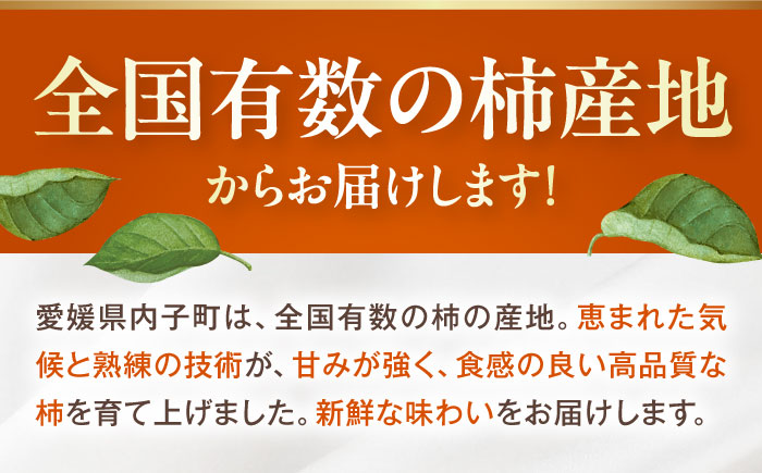 富有柿 2L玉サイズ 約3kg（12玉入り）／フルーツ 果物 くだもの 食品 人気 内子町【愛媛たいき農業協同組合 果樹生産出荷協議会 柿部会】