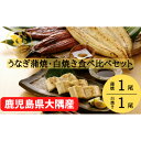 【ふるさと納税】【年内配送12月8日入金まで】大隅特産うなぎ蒲焼1尾（170g）・白焼1尾（120g）食べ比べセット【国産】 国産ウナギ 冷凍 たれ付 山椒付き 鰻かばやき うなぎ蒲焼 うなぎ白焼き 鹿屋市 鹿児島県産【株式会社寺園商店】