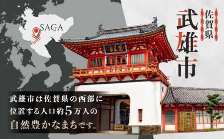 【応援寄附金】佐賀県武雄市 まちづくり応援寄附金 返礼品なし（30,000円分）[UZZ106]