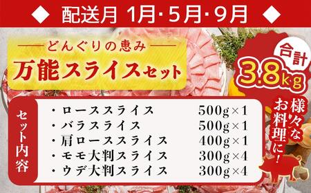 「どんぐりの恵み豚」エンジョイ定期便(5ヶ月)_TAC5-1101_(都城市) 万能スライスセット キャンプ飯セット こま切れセット しゃぶしゃぶセットなど 毎月お届け 小分け 豚肉セット 冷凍 いろ