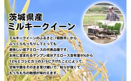 新米【令和7年産】ふっくらもっちり 茨城県産 ミルキークイーン 白米 5kg×1袋｜お米 おこめ 精米 直送 稲敷 茨城 [1817]