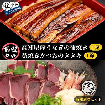 ふるさと納税 安芸市 【毎月定期便】藁焼きかつおのタタキ1節と高知県産うなぎの蒲焼き1尾セット 全3回