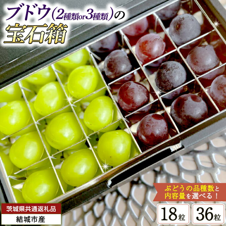 【ふるさと納税】＼ 選べる品種数 ／ ブドウ の 宝石箱 18粒 【8月下旬から発送開始】 （茨城県共通返礼品 [ぶどう]：結城市産） 田舎の頑固おやじが厳選！ 巨峰 ピオーネ マスカット ぶどう フルーツ 果物