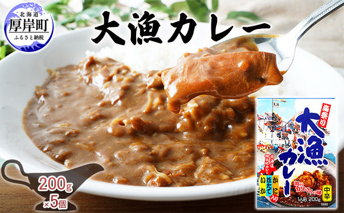 
大漁カレー 200g×5個 (合計1kg入) カレー レトルト[№5863-0877]
