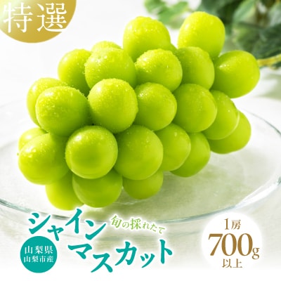 【2026年発送】山梨県山梨市産　特選　旬の採れたてシャインマスカット1房　(700g以上)【配送不可地域：離島】