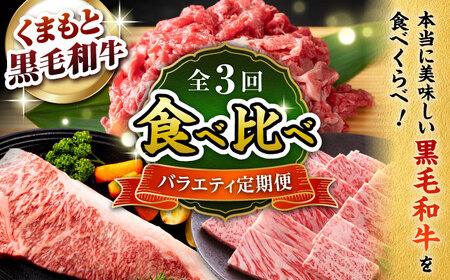 【3回定期便】熊本県産 黒毛和牛【有限会社 九州食肉産業】[ZDQ168]