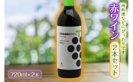 
                  赤ワイン2本セット F2Y-4635
                