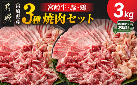 宮崎県産≪宮崎牛・豚・鶏≫3種の焼肉セット300g×10パック≪みやこんじょ快速便≫_28-89-003-3kg-R_(都城市)  宮崎県産 焼肉セット 宮崎牛バラ 豚肉(ロース又は肩ロース) 鶏モモ肉