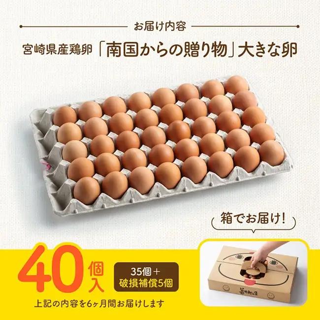 【6ヶ月定期便】宮崎県産鶏卵 「南国からの贈り物」大きな卵40個入り（35個+破損補償5個）【たまご 卵 玉子 タマゴ】