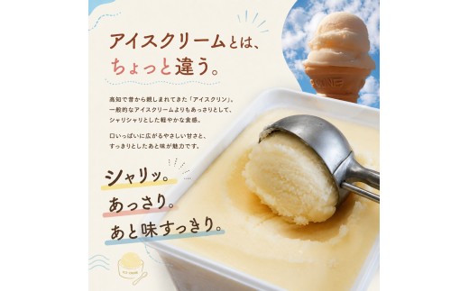 ＜【選べる容量】 アイスクリン（ソーダ）1L×1個＞  大容量  業務用アイス  横畠冷菓 あと味さっぱり シャーベット 高知県 佐川町