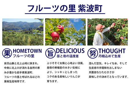 サンふじ 3kg 贈答用 りんご 岩手 紫波町産 秀品 (DV053)