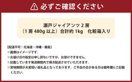 瀬戸ジャイアンツ 2房（1房480g以上） 合計約1kg 化粧箱入り 【2026年9月上旬～10月上旬迄発送予定】 白ぶどう 葡萄 ブドウ ぶどう フルーツ 果物 ギフト 国産 岡山県産