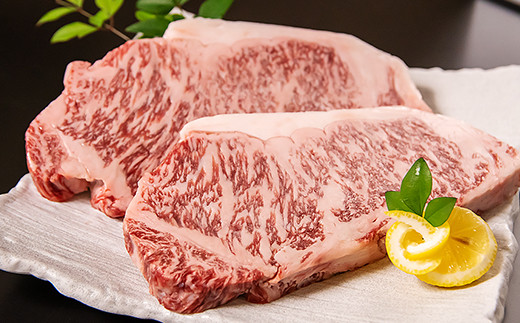 宮崎和牛サーロインステーキ 250g×2枚 500g 齋藤牛 牛肉 ステーキ ＜4.3-3＞
