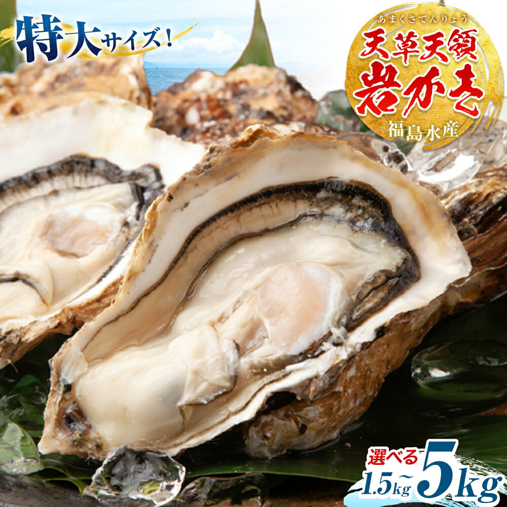 【ふるさと納税】牡蠣 カキ 天領 岩牡蠣 選べる容量 約1.5kg 2.5kg 5kg 《4月上旬-6月末頃出荷予定》熊本県 苓北町 かき 岩カキ 岩ガキ 貝 BIG ビッグ 生食 バーベキュー 夏天草 天領 福島水産 苓北 熊本 旬 シーズン 送料無料【配送不可地域あり】