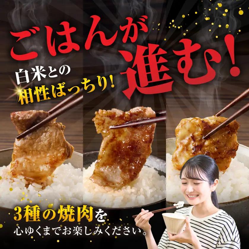 宮崎県産≪宮崎牛・豚・鶏≫3種の焼肉セット300g×10パック≪みやこんじょ快速便≫〔28-89-003-3kg-R〕_(都城市)  宮崎県産 焼肉セット 宮崎牛バラ 豚肉(ロース又は肩ロース) 鶏モ