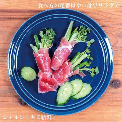 ふるさと納税 平取町 【先行予約/8月以降発送】秀品キュウリ1箱Мサイズ(約5kg) |  | 02