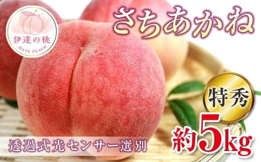 【2026年出荷分先行予約】福島県産 特秀 さちあかね 約5kg (15～18玉) ふくしま未来農業協同組合 特秀 透過式光センサー選別 糖度12度以上 固め 伊達の桃 桃 フルーツ 果物 もも モモ momo F20C-779